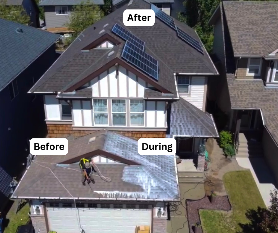 Asphalt shingle roof being treated with GreenSoy rejuvenation in Louisiana